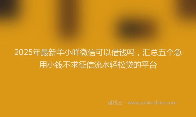 2025年最新羊小咩微信可以借钱吗，汇总五个急用小钱不求征信流水轻松贷的平台