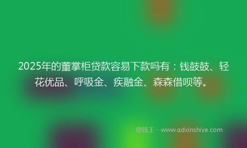 2025年的董掌柜贷款容易下款吗有：钱鼓鼓、轻花优品、呼吸金、疾融金、森森借呗等。