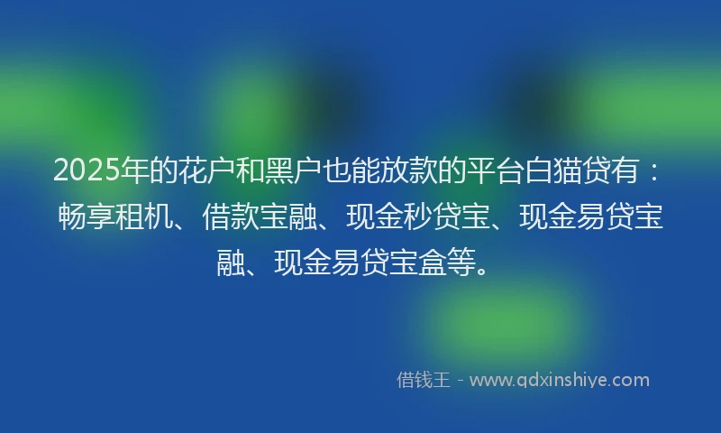 2025年的花户和黑户也能放款的平台白猫贷有：畅享租机、借款宝融、现金秒贷宝、现金易贷宝融、现金易贷宝盒等。
