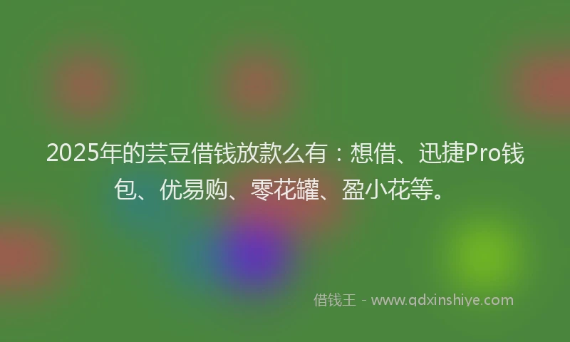 2025年的芸豆借钱放款么有：想借、迅捷Pro钱包、优易购、零花罐、盈小花等。