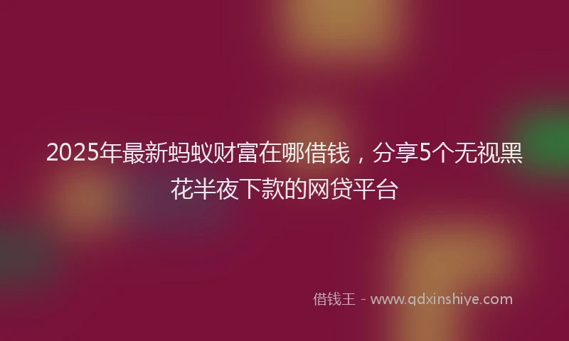2025年最新蚂蚁财富在哪借钱，分享5个无视黑花半夜下款的网贷平台