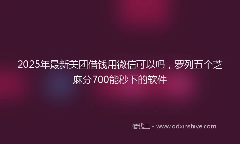 2025年最新美团借钱用微信可以吗，罗列五个芝麻分700能秒下的软件