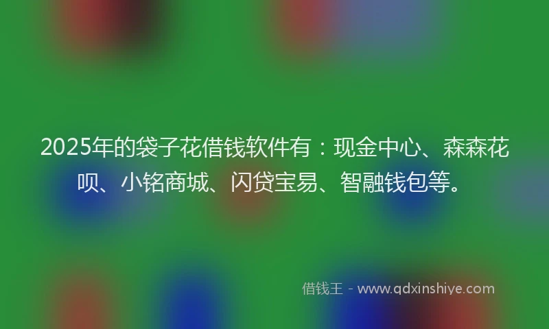 2025年的袋子花借钱软件有：现金中心、森森花呗、小铭商城、闪贷宝易、智融钱包等。