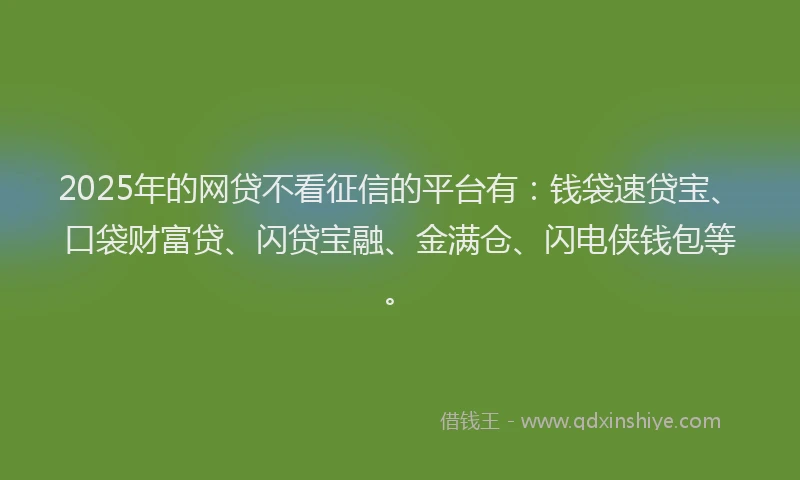 2025年的网贷不看征信的平台有：钱袋速贷宝、口袋财富贷、闪贷宝融、金满仓、闪电侠钱包等。