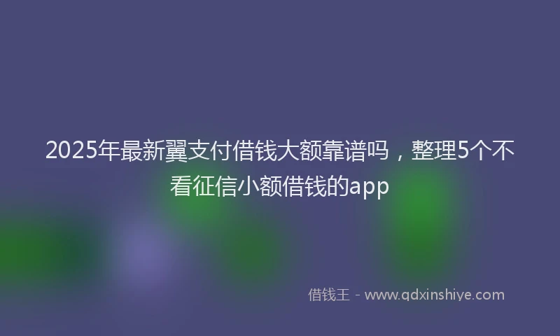 2025年最新翼支付借钱大额靠谱吗，整理5个不看征信小额借钱的app