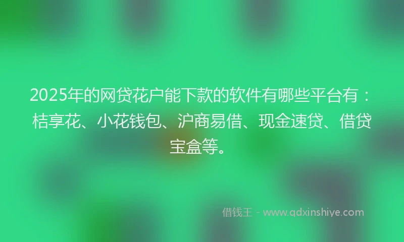 2025年的网贷花户能下款的软件有哪些平台有：桔享花、小花钱包、沪商易借、现金速贷、借贷宝盒等。