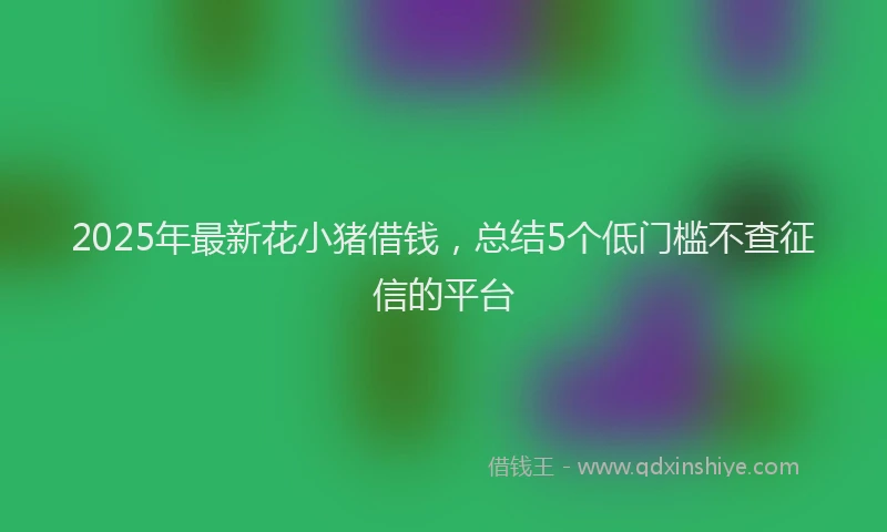 2025年最新花小猪借钱，总结5个低门槛不查征信的平台