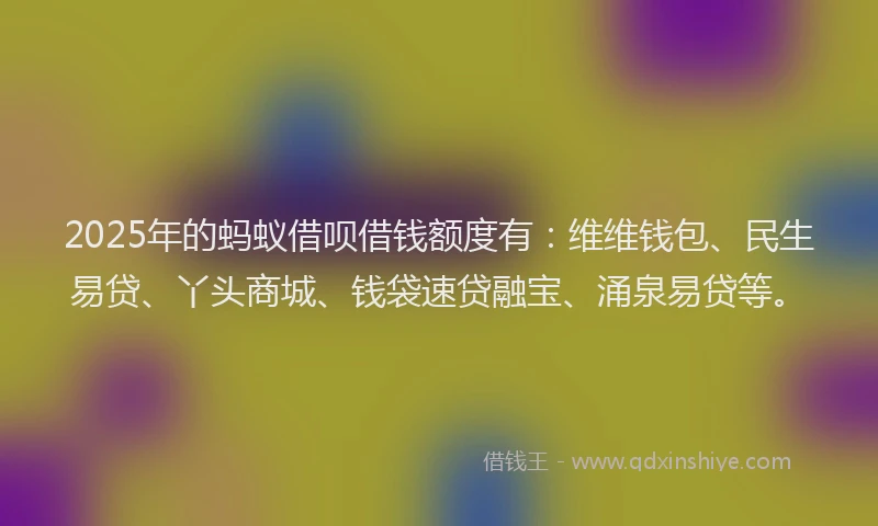 2025年的蚂蚁借呗借钱额度有：维维钱包、民生易贷、丫头商城、钱袋速贷融宝、涌泉易贷等。