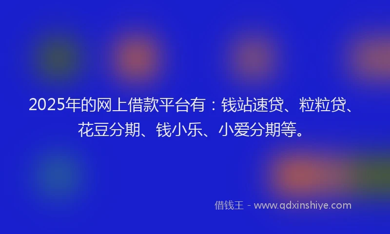 2025年的网上借款平台有：钱站速贷、粒粒贷、花豆分期、钱小乐、小爱分期等。