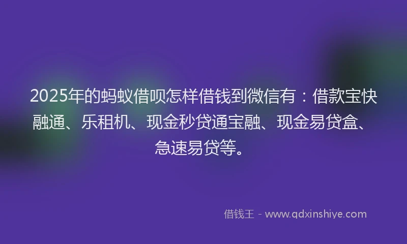 2025年的蚂蚁借呗怎样借钱到微信有：借款宝快融通、乐租机、现金秒贷通宝融、现金易贷盒、急速易贷等。