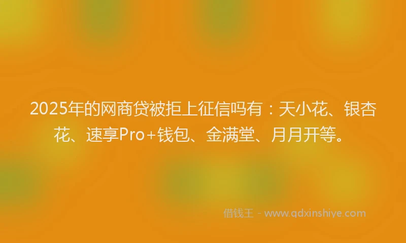 2025年的网商贷被拒上征信吗有：天小花、银杏花、速享Pro+钱包、金满堂、月月开等。