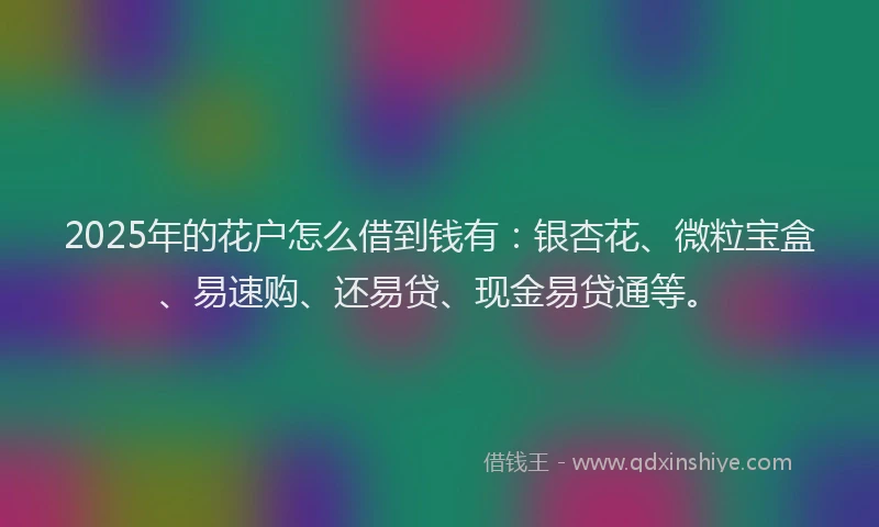2025年的花户怎么借到钱有：银杏花、微粒宝盒、易速购、还易贷、现金易贷通等。