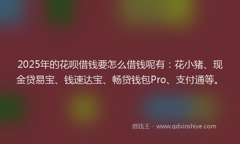 2025年的花呗借钱要怎么借钱呢有：花小猪、现金贷易宝、钱速达宝、畅贷钱包Pro、支付通等。