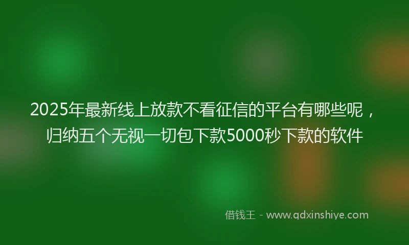 2025年最新线上放款不看征信的平台有哪些呢，归纳五个无视一切包下款5000秒下款的软件