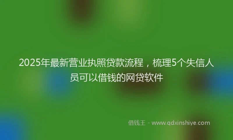 2025年最新营业执照贷款流程，梳理5个失信人员可以借钱的网贷软件