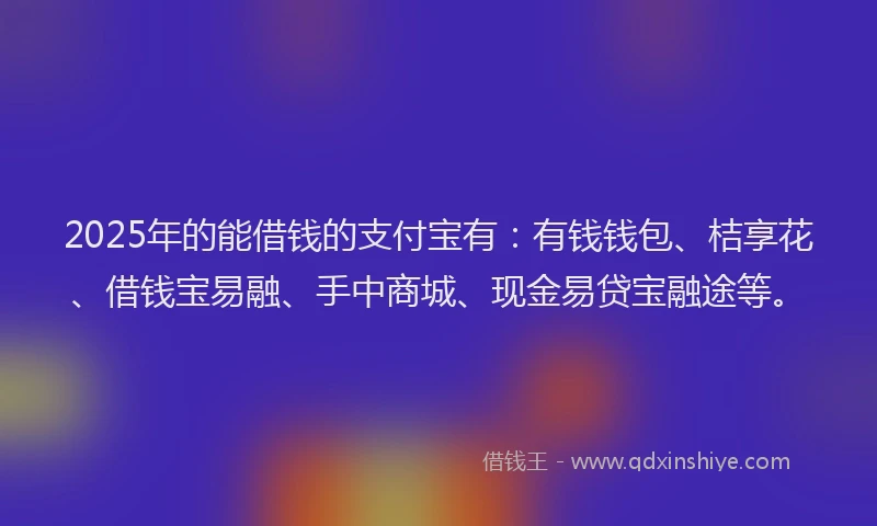 2025年的能借钱的支付宝有：有钱钱包、桔享花、借钱宝易融、手中商城、现金易贷宝融途等。