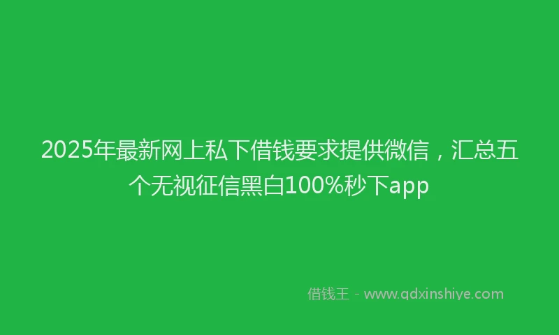 2025年最新网上私下借钱要求提供微信，汇总五个无视征信黑白100%秒下app