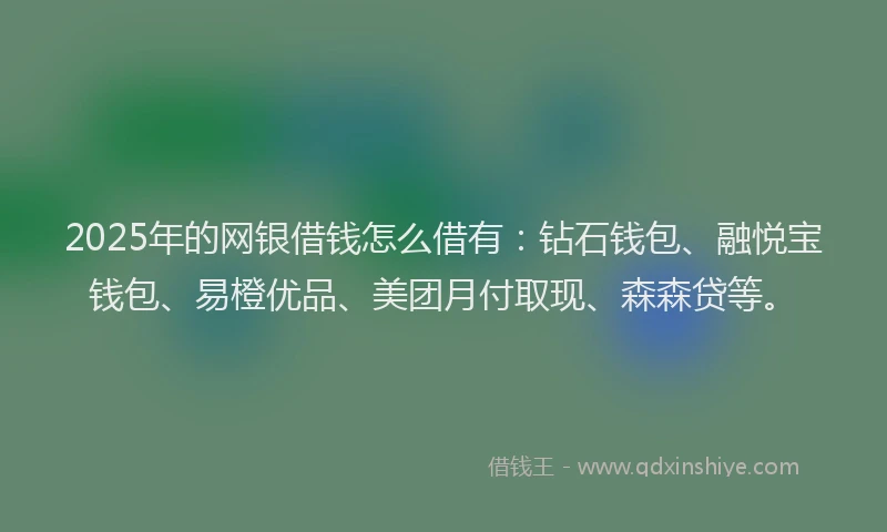 2025年的网银借钱怎么借有：钻石钱包、融悦宝钱包、易橙优品、美团月付取现、森森贷等。