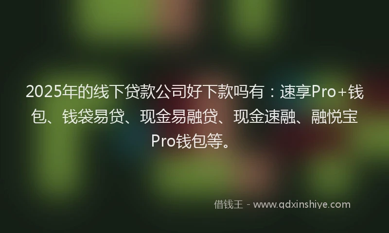 2025年的线下贷款公司好下款吗有：速享Pro+钱包、钱袋易贷、现金易融贷、现金速融、融悦宝Pro钱包等。