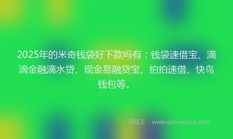 2025年的米奇钱袋好下款吗有：钱袋速借宝、滴滴金融滴水贷、现金易融贷宝、拍拍速借、快鸟钱包等。