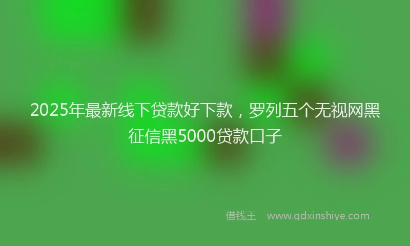 2025年最新线下贷款好下款，罗列五个无视网黑征信黑5000贷款口子