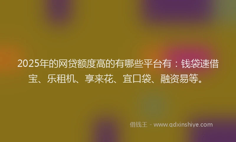 2025年的网贷额度高的有哪些平台有：钱袋速借宝、乐租机、享来花、宜口袋、融资易等。