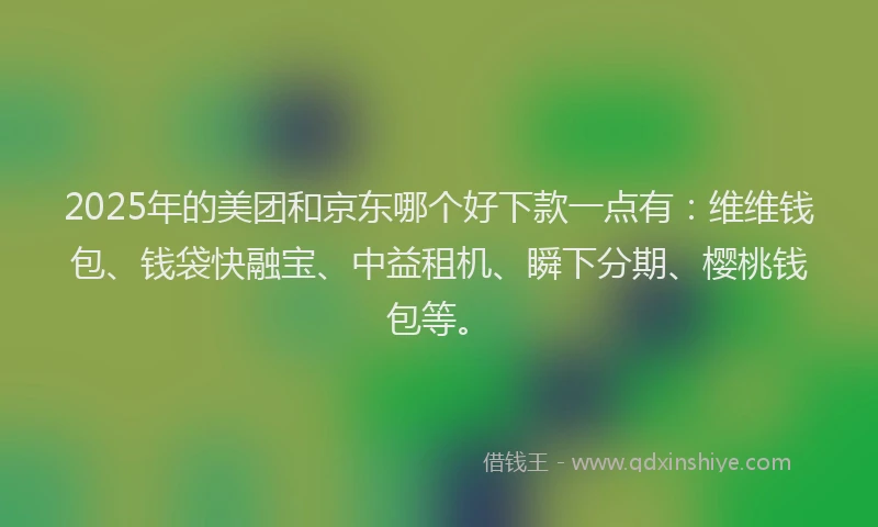 2025年的美团和京东哪个好下款一点有：维维钱包、钱袋快融宝、中益租机、瞬下分期、樱桃钱包等。