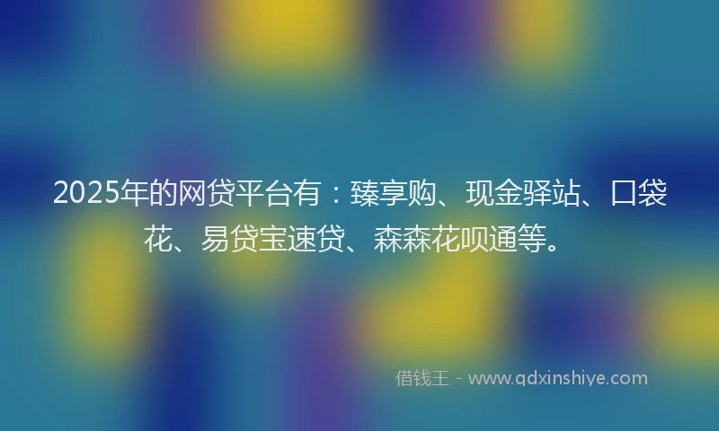 2025年的网贷平台有：臻享购、现金驿站、口袋花、易贷宝速贷、森森花呗通等。