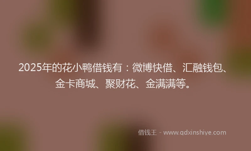 2025年的花小鸭借钱有：微博快借、汇融钱包、金卡商城、聚财花、金满满等。