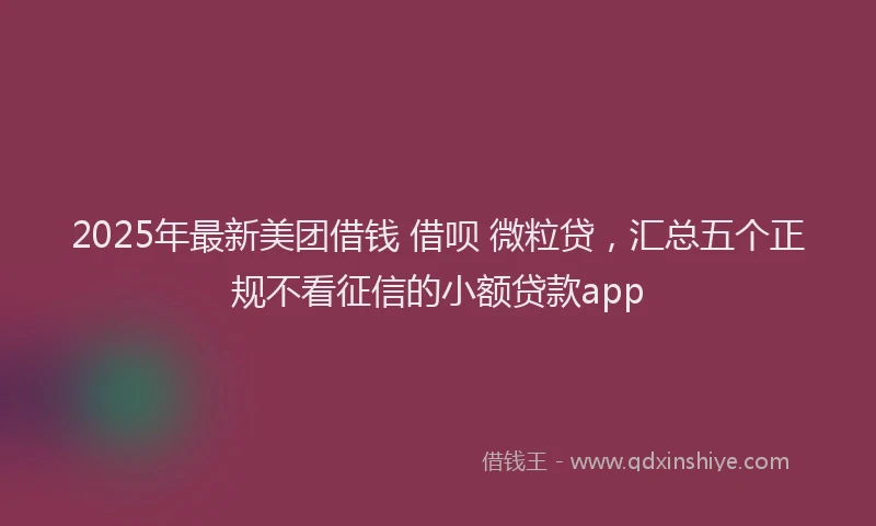 2025年最新美团借钱 借呗 微粒贷，汇总五个正规不看征信的小额贷款app
