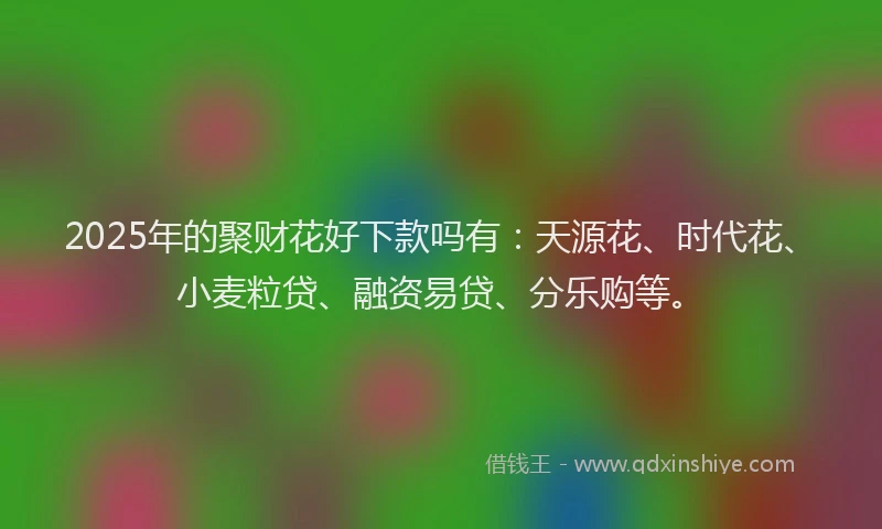 2025年的聚财花好下款吗有：天源花、时代花、小麦粒贷、融资易贷、分乐购等。