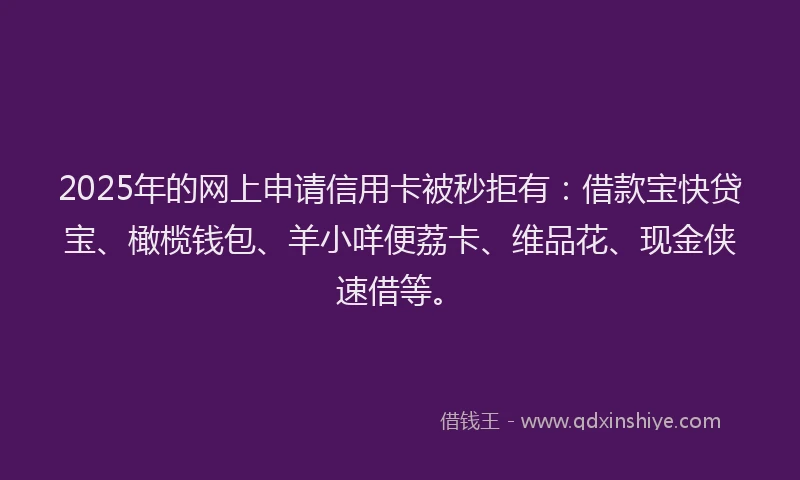 2025年的网上申请信用卡被秒拒有:借款宝快贷宝、橄榄钱包、羊小咩便荔卡、维品花、现金侠速借等。