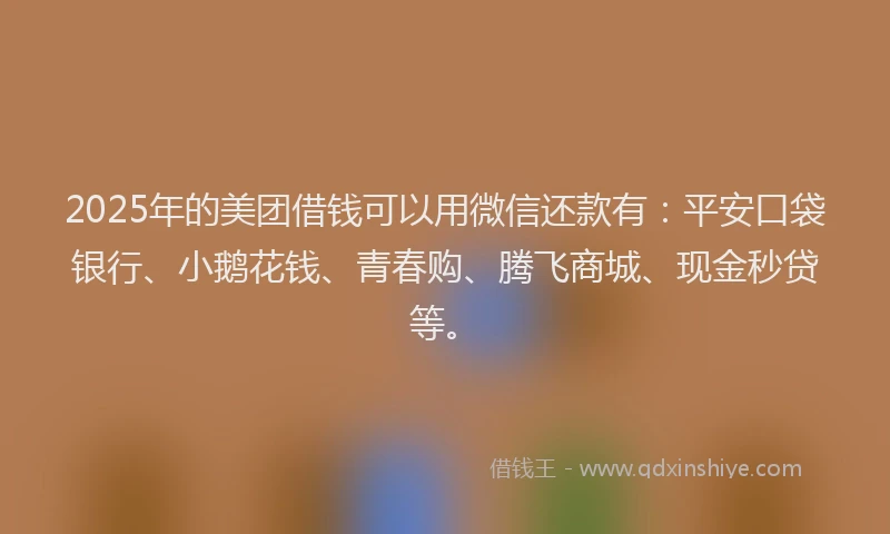 2025年的美团借钱可以用微信还款有：平安口袋银行、小鹅花钱、青春购、腾飞商城、现金秒贷等。
