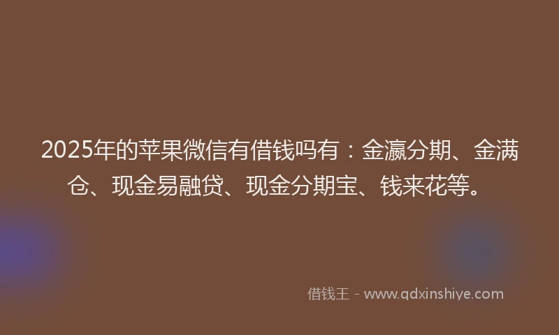2025年的苹果微信有借钱吗有：金瀛分期、金满仓、现金易融贷、现金分期宝、钱来花等。