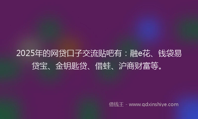 2025年的网贷口子交流贴吧有：融e花、钱袋易贷宝、金钥匙贷、借蛙、沪商财富等。
