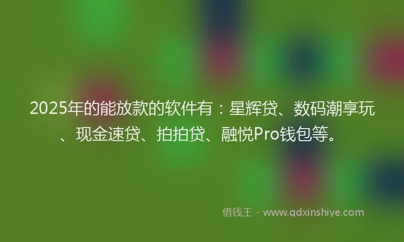 2025年的能放款的软件有：星辉贷、数码潮享玩、现金速贷、拍拍贷、融悦Pro钱包等。
