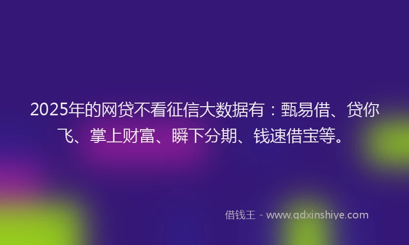 2025年的网贷不看征信大数据有：甄易借、贷你飞、掌上财富、瞬下分期、钱速借宝等。