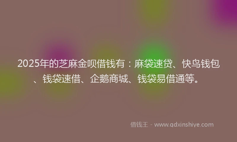 2025年的芝麻金呗借钱有：麻袋速贷、快鸟钱包、钱袋速借、企鹅商城、钱袋易借通等。