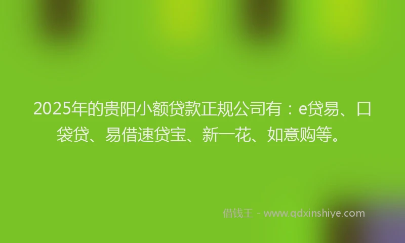 2025年的贵阳小额贷款正规公司有：e贷易、口袋贷、易借速贷宝、新一花、如意购等。