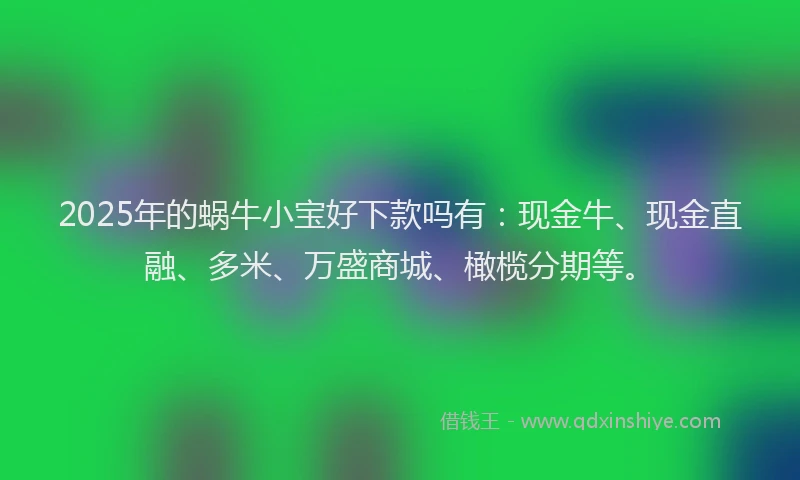 2025年的蜗牛小宝好下款吗有：现金牛、现金直融、多米、万盛商城、橄榄分期等。