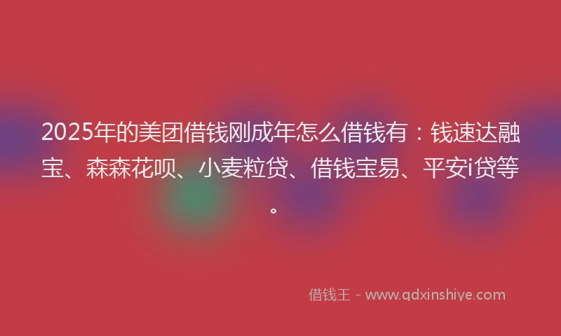 2025年的美团借钱刚成年怎么借钱有：钱速达融宝、森森花呗、小麦粒贷、借钱宝易、平安i贷等。