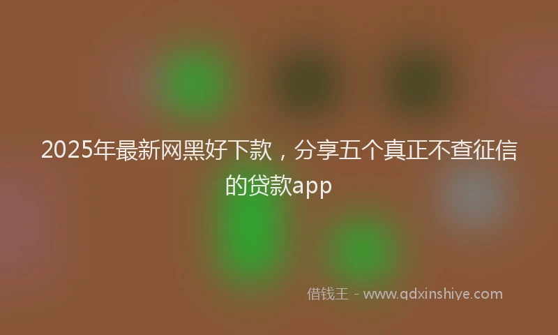2025年最新网黑好下款，分享五个真正不查征信的贷款app