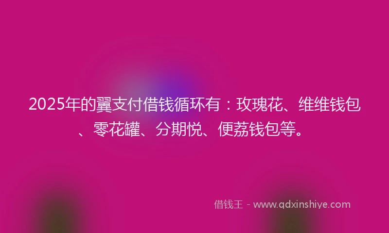 2025年的翼支付借钱循环有：玫瑰花、维维钱包、零花罐、分期悦、便荔钱包等。