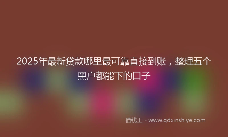 2025年最新贷款哪里最可靠直接到账，整理五个黑户都能下的口子