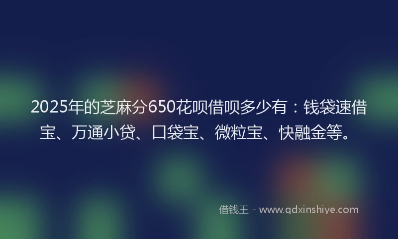 2025年的芝麻分650花呗借呗多少有:钱袋速借宝、万通小贷、口袋宝、微粒宝、快融金等。