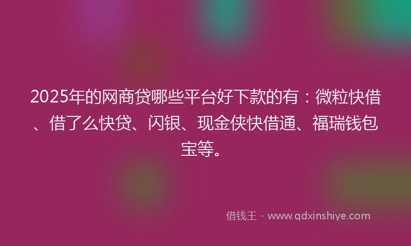 2025年的网商贷哪些平台好下款的有：微粒快借、借了么快贷、闪银、现金侠快借通、福瑞钱包宝等。