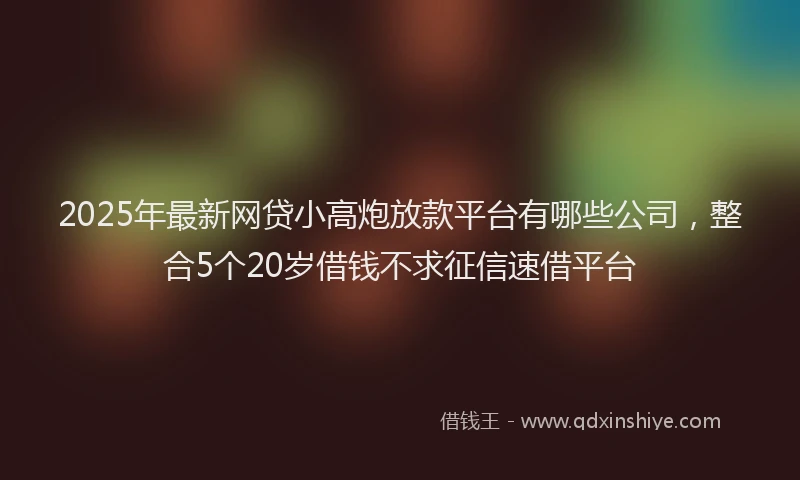 2025年最新网贷小高炮放款平台有哪些公司，整合5个20岁借钱不求征信速借平台