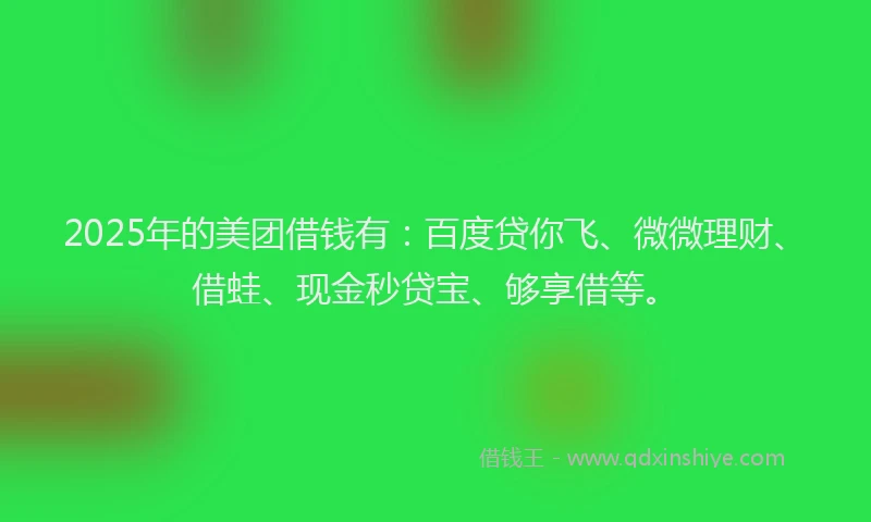 2025年的美团借钱有：百度贷你飞、微微理财、借蛙、现金秒贷宝、够享借等。
