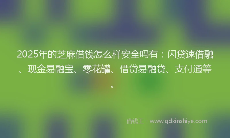 2025年的芝麻借钱怎么样安全吗有：闪贷速借融、现金易融宝、零花罐、借贷易融贷、支付通等。