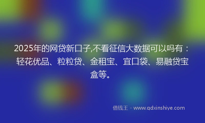 2025年的网贷新口子,不看征信大数据可以吗有：轻花优品、粒粒贷、金租宝、宜口袋、易融贷宝盒等。